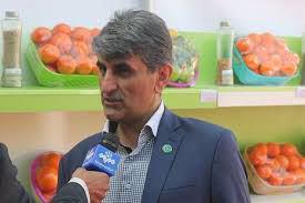 انتخاب 4 کشاورز نمونه کشوری از کرمان انتخاب 4 کشاورز نمونه کشوری از کرمان