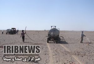 آغاز کاشت نهال در کانون های بحرانی فرسایش بادی