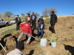 غرس نهال در کهگیلویه