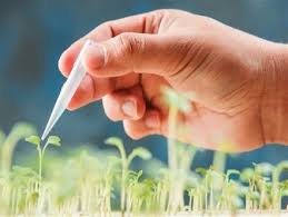 استفاده از محصول تراریخته ؛ شمشیر دو لبه استفاده از محصول تراریخته ؛ شمشیر دو لبه