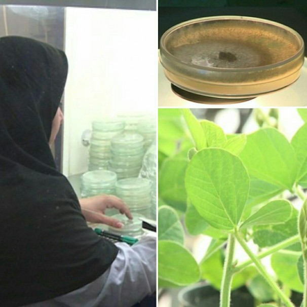 تولید سم بیولوژیک در کرج تولید سم بیولوژیک در کرج