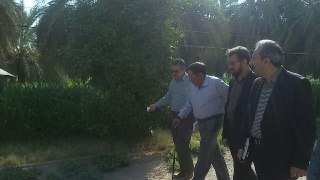 تولید 8 میلیون تن میوه گرمسیری در کشور