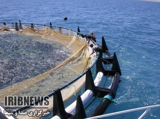 پرورش ماهی در قفس ، سیاست شیلات ایران برای توسعه آبزی پروری پرورش ماهی در قفس ، سیاست شیلات ایران برای توسعه آبزی پروری