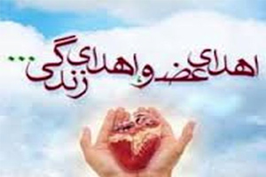 پیوند کبد بیمار مرگ مغزی به بیمار نیازمند عضو