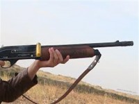 از برادرکشی تا کشف غاری انباشته از استخوان از برادرکشی تا کشف غاری انباشته از استخوان