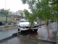 از برادرکشی تا کشف غاری انباشته از استخوان از برادرکشی تا کشف غاری انباشته از استخوان