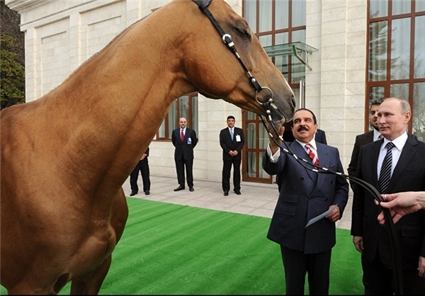 حیواناتی که ابزار دیپلماسی شدند+ تصاویر