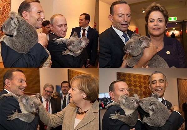 حیواناتی که ابزار دیپلماسی شدند+ تصاویر