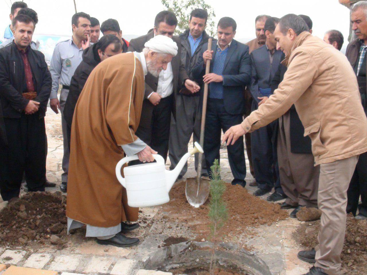 غرس دوهزار اصله نهال در جوانرود