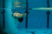 صعود مستقیم انصاری و تیم 4در صدمتر آزاد به نیمه نهایی و فینال