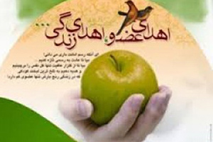 پیوند کبد مردی میانسال به بیمار نیازمند عضو