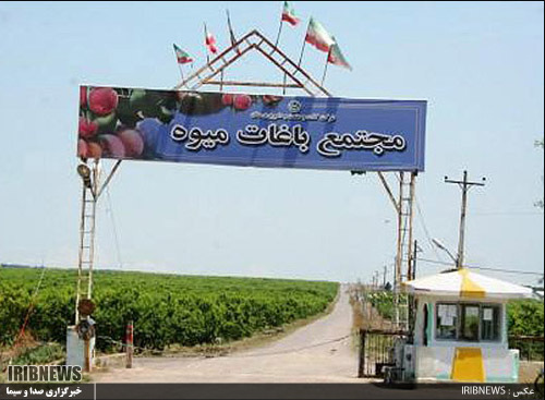 گزارش// واگذاری کشت و صنعت مغان و دیدگاه های موافقان و مخالفان