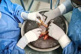 نجات مبینا، جلوگیری از تکرار حادثه تلخ بنیتا نجات مبینا، جلوگیری از تکرار حادثه تلخ بنیتا