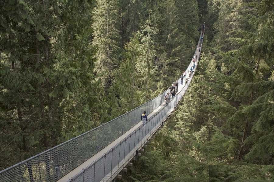 برترین شهرهای جهان برای پیاده روی+تصاویر برترین شهرهای جهان برای پیاده روی+تصاویر