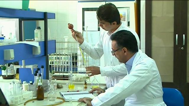 دانشگاه یاسوج مهمترین قطب پژوهش کهگیلویه و بویر احمد