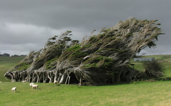 پیش بینی وضعیت جوی استان ایلام+فیلم