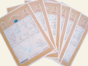 صدور سند رسمی برای بیش از ۱۰ میلیون هکتار از عرصه طبیعی فارس