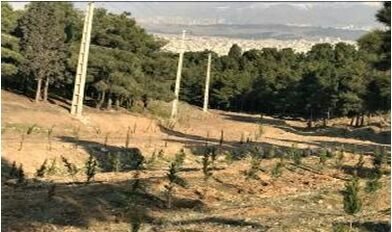 بوستان جنگلی سرخه حصار، ثروت ملی