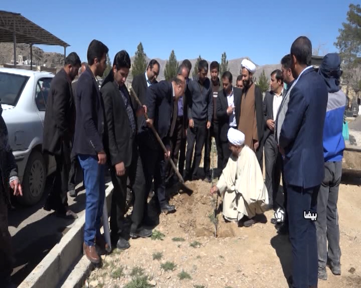 کاشت بیش از دویست درخت