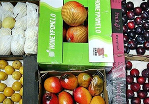 اجرای طرح کدگذاری سیستمی انبار‌های نگهداری کالای قاچاق