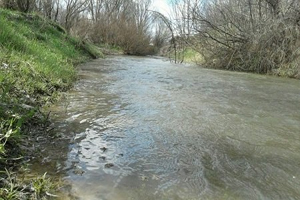 تعویق در زمان رها شدن آب در زاینده رود