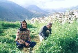 سالمندان گنجینه های پنهان یافته های دیروز