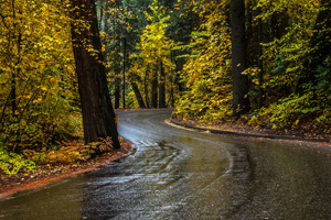 ورود سامانه بارشی از جنوب غرب کشور از فردا