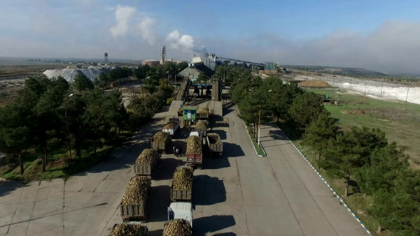 رونق تولید شکر با حمایت از چغندرکاران