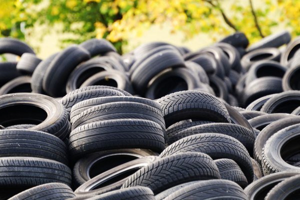 توزیع بیش از ۲۸ هزارحلقه لاستیک در استان قزوین توزیع بیش از ۲۸ هزارحلقه لاستیک در استان قزوین