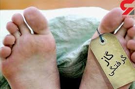 مرگ بر اثر گازگرفتگی در باغ شهری