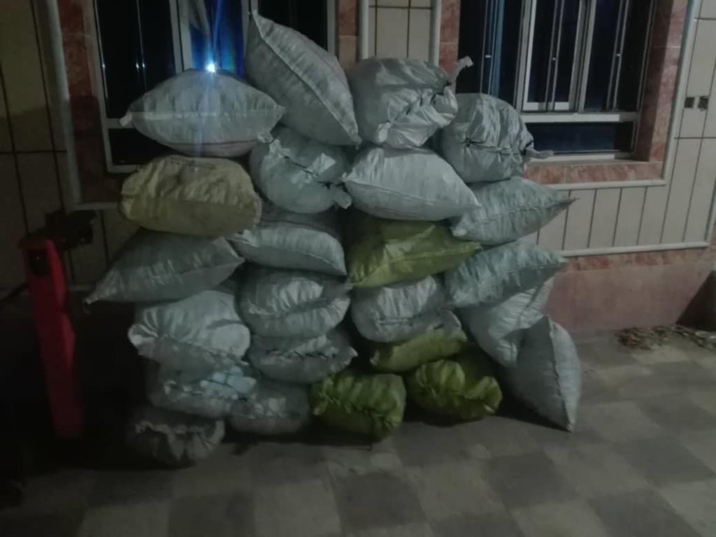 کشف بیش از ۵ تن چوب درختان جنگلی در رستم کشف بیش از ۵ تن چوب درختان جنگلی در رستم