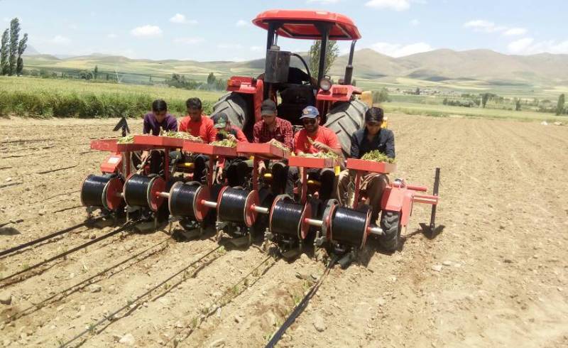 رشد 12 درصدی کشت مکانیزه محصولات کشاورزی