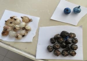 سرنوشت تلخ قاچاقچی مواد مخدر