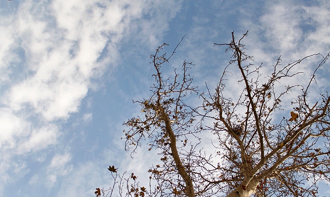 آسمان فارس کمی ابری همراه با افزایش ابر