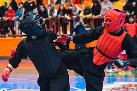 درخشش بانوان رزمی کار مهابادی در مسابقات قهرمانی نیو کونگ فو استان درخشش بانوان رزمی کار مهابادی در مسابقات قهرمانی نیو کونگ فو استان