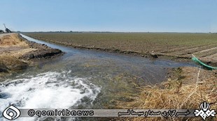 صدای پای آب می آید از کویر قم