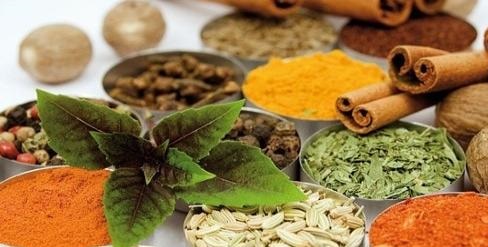 تدوین فهرست داروهای سنتی و گیاهی در مراحل نهایی تدوین فهرست داروهای سنتی و گیاهی در مراحل نهایی