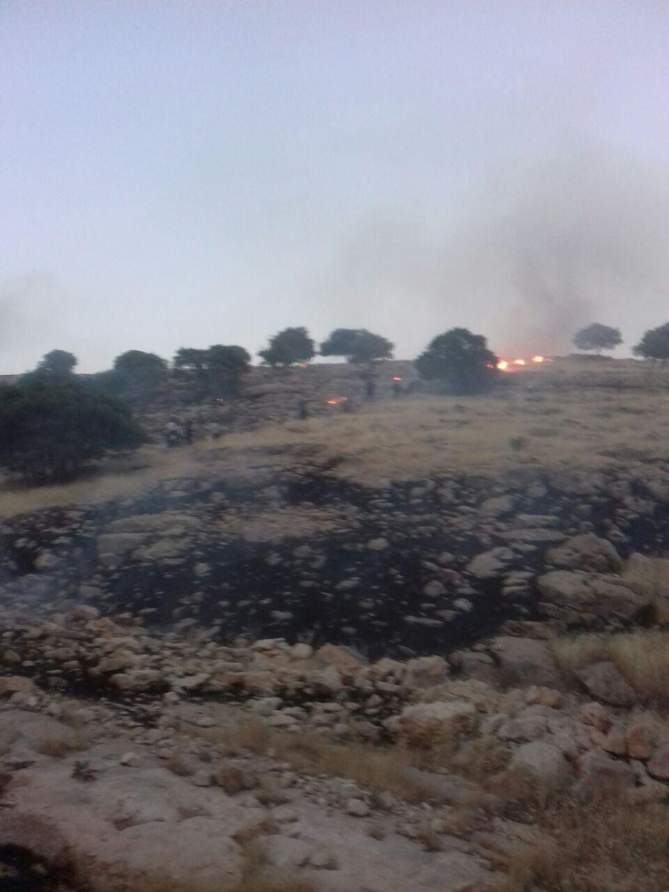 آتش همچنان مراتع گیلانغرب را طعمه می کند آتش همچنان مراتع گیلانغرب را طعمه می کند