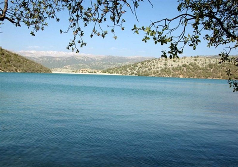 مایع حیاتی که حیات می گیرد