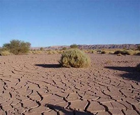 پربیننده‌ترین خبر‌های استان‌ها