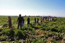 ضرورت مکانیزاسیون در کشاورزی