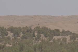 اختصاص 400 میلیارد ریال برای اجرایی طرحهای بیابان زدایی اختصاص 400 میلیارد ریال برای اجرایی طرحهای بیابان زدایی