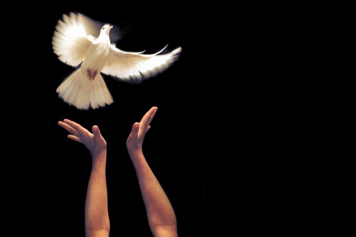 دستهای نیکوکار انسانهای خیر، همواره گره گشا و امید آفرین