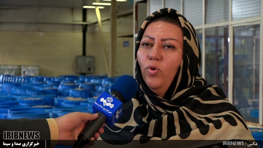 پیش بینی افزایش دو برابری زیتون