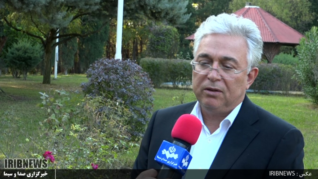 پیش بینی افزایش دو برابری زیتون