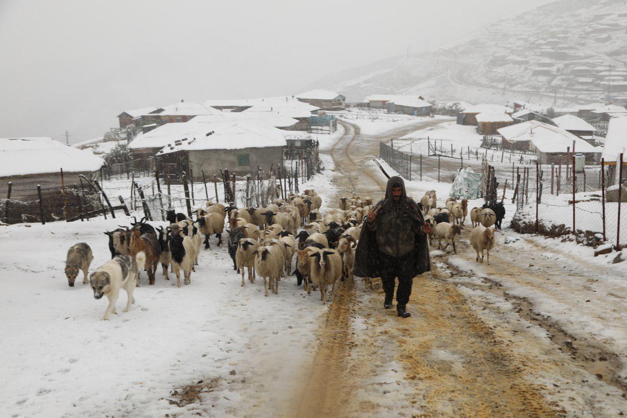بارش برف در کوهستان های گیلان