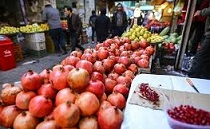 گشایش نمایشگاه یلدا گشایش نمایشگاه یلدا