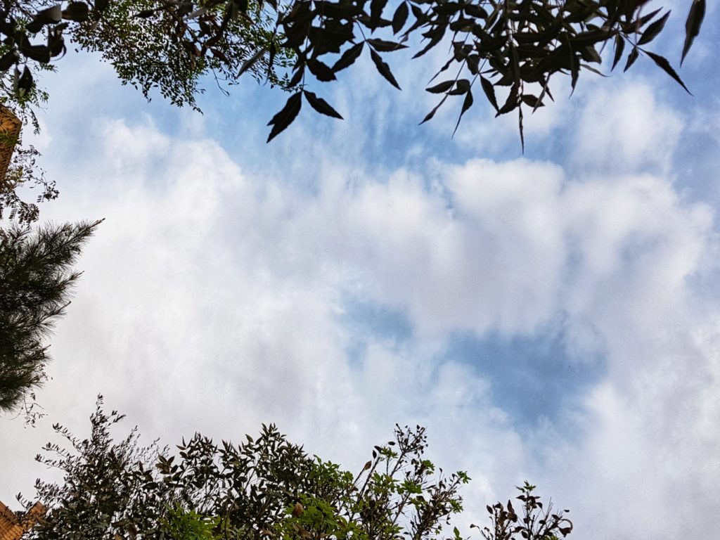 آسمان فارس قسمتی ابری همراه با وزش باد