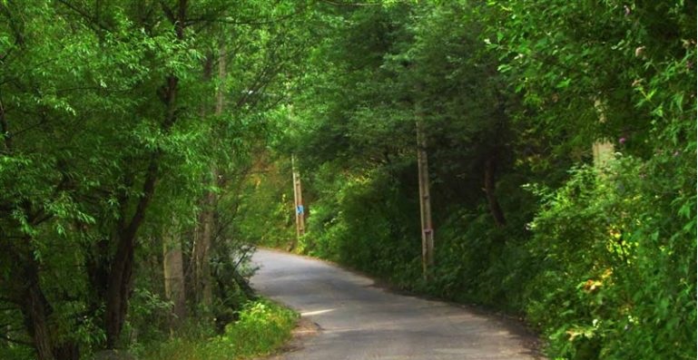 طبیعت برفی دره دلربای خیاوچایی مشگین شهر