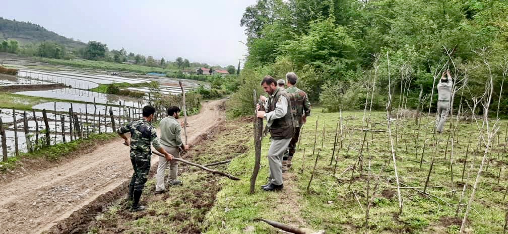رفع تصرف بیش از 19 هکتار از زمین های ملی گیلان رفع تصرف بیش از 19 هکتار از زمین های ملی گیلان